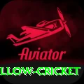 willow cricket Max v4.1.4